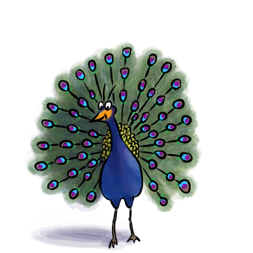 peacock